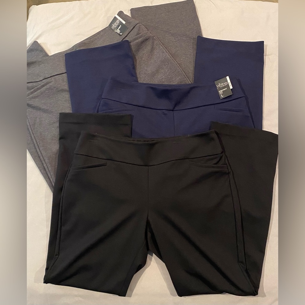 NY&Co The Whitney Pull-On Pant, Lot of 3, NWT and EUC, size L Petite